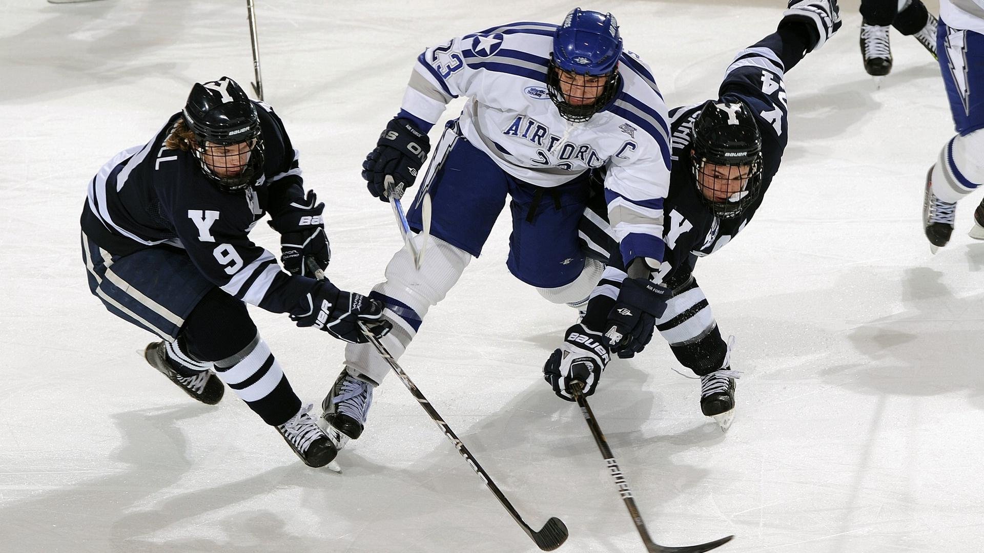 德甲火力全开：攻势如潮，精彩纷呈！，德甲 ds