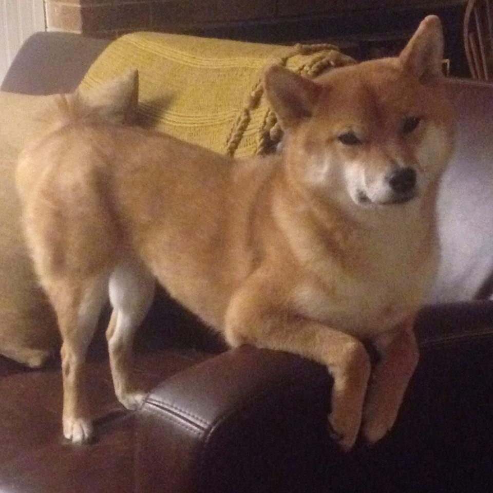 九游jiuyou-_城市史诗赛：在历史名城中演绎网球传奇_，经典网球赛事